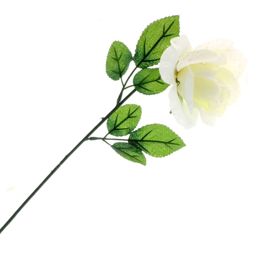 10262938.jpg img